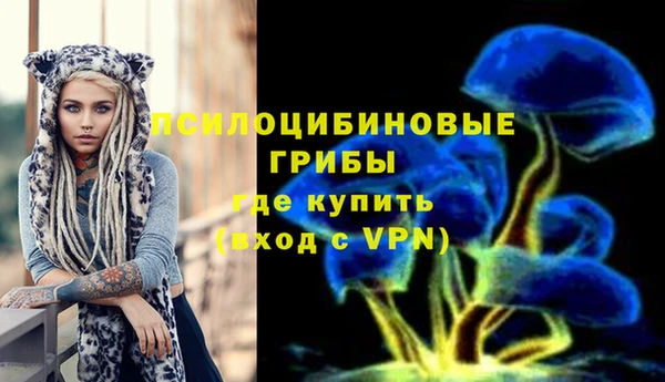 гашик Верхний Тагил