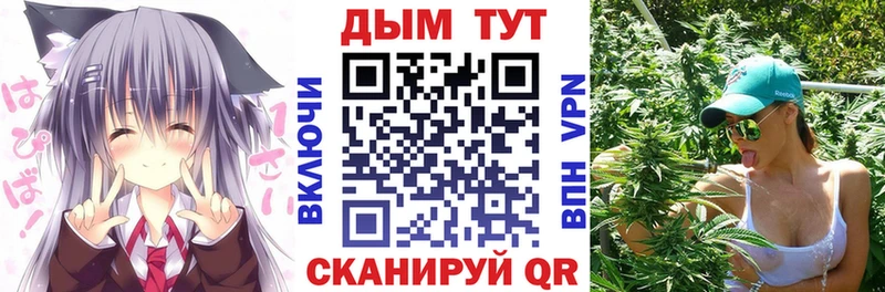 Бошки марихуана сатива  MEGA   Вязники 